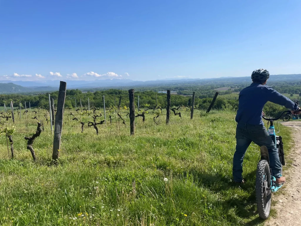 Balade dans les vignobles du Bugey en trottinette tout terrain