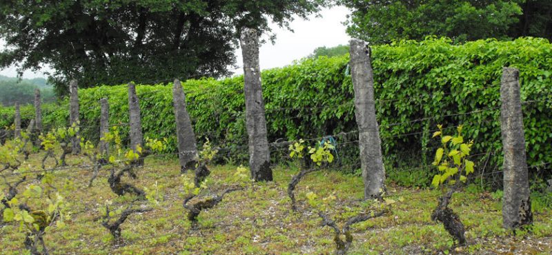 Sentier des bigues